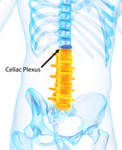 Celiac Plexus Blocks